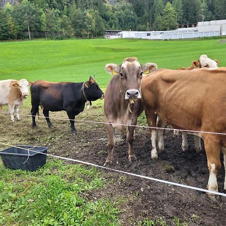Ferienhof Bichlhof Arzl im Pitztal Exteriér fotografie