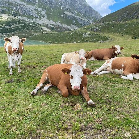 Ferienhof Bichlhof Arzl im Pitztal Pokoj fotografie
